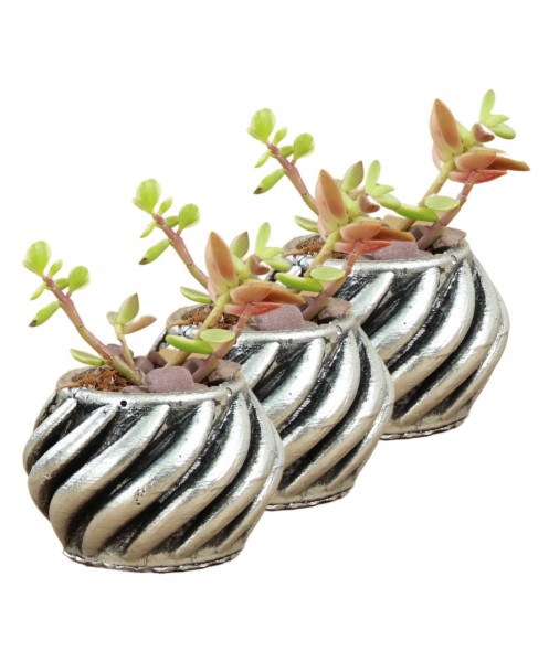 Mini Çiçek Saksı Küçük Sukulent Gümüş Eskitme Kaktüs Saksısı 3lü Set Kalın Çizgili Spiral Model